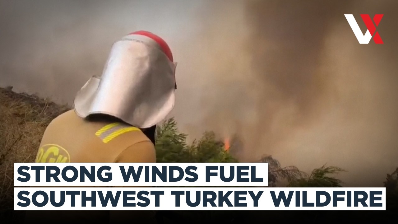 Firefighters Battle Fast-Moving Wildfire In Southwest Turkey Amid Strong Winds | VERTEX