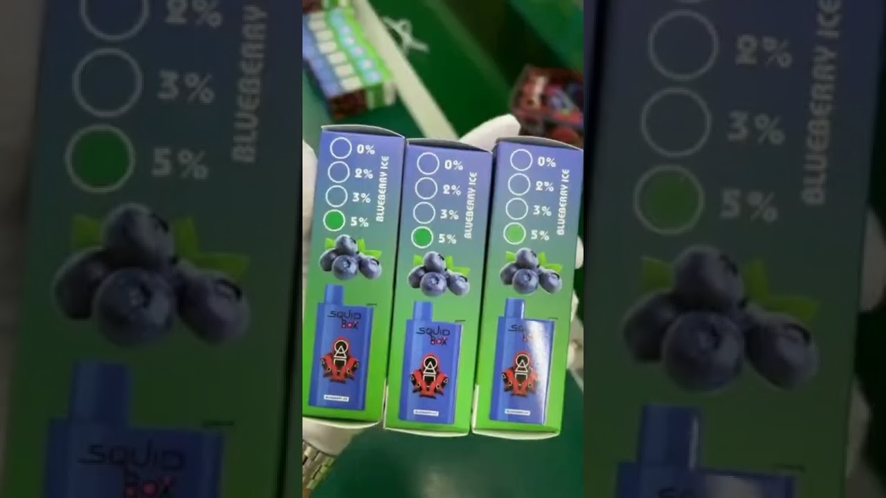 RandM Squid Box Disposable Vape Pod Device Wholesale (5200 Puffs)