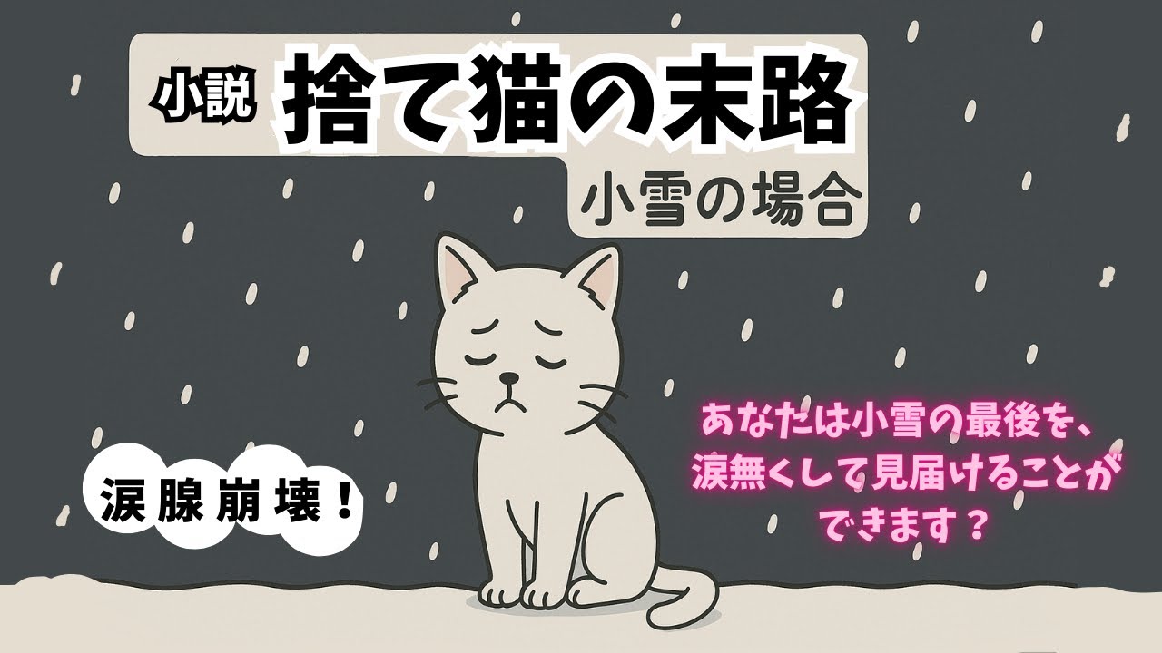 小説 捨て猫の末路…小雪の場合｜人間の身勝手と小さな命の悲劇