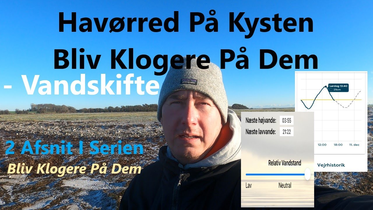 Havørred På Kysten | Bliv Klogere På Dem | Vandskifte