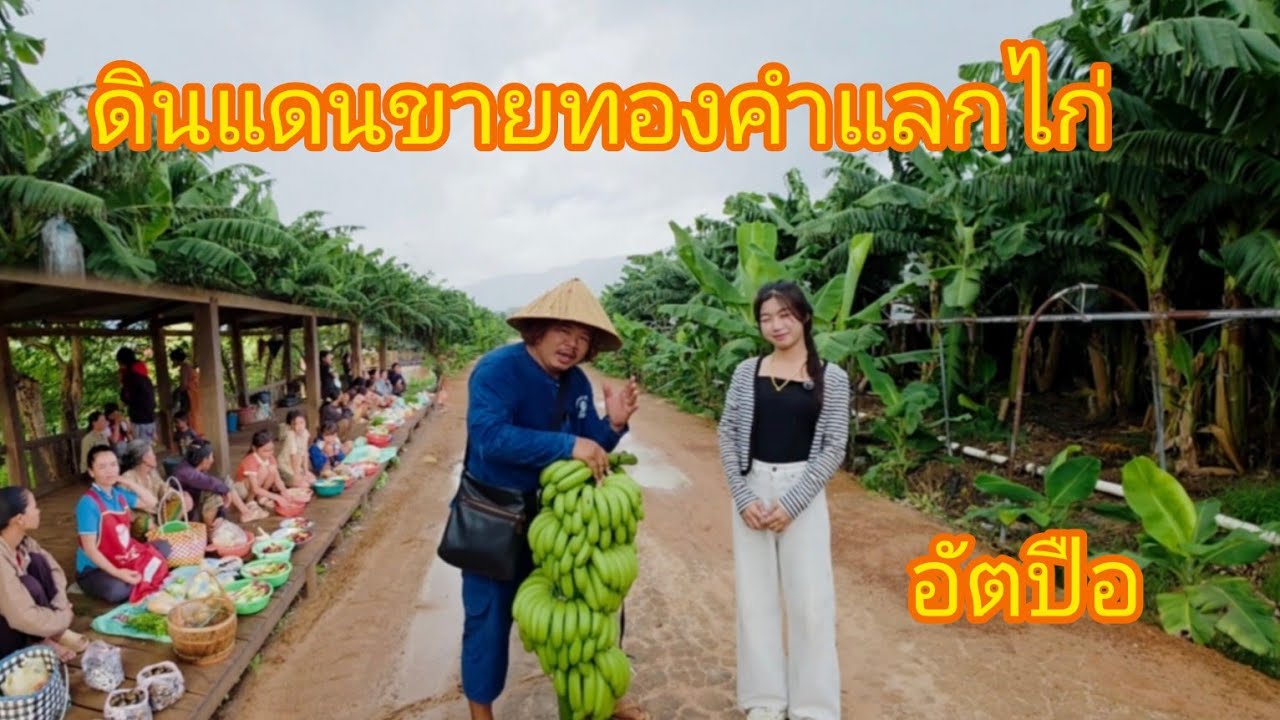 #เที่ยวลาวใต้ สวนกล้วย300ไร่ ไปทำไม? ตลาดชาวบ้านรินทาง..ซื้อช่วยทุกคน #บรรยากาศ สุดยอดจริงๆ#สปปลาว