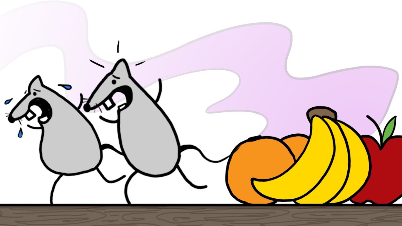 பயம் பரம்பரை வியாதியா ? | Epigenetics : Why Inheritance Is Weirder Than We Thought