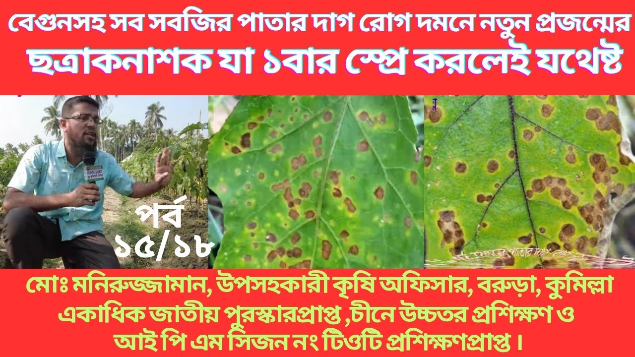 বিশ্বের শীর্ষ 10টি ছত্রাকনাশক যা পাতার দাগসহ সকল রোগ দমনে ১০০% কার্যকর । Eggplant Brinjal Leaf Spot