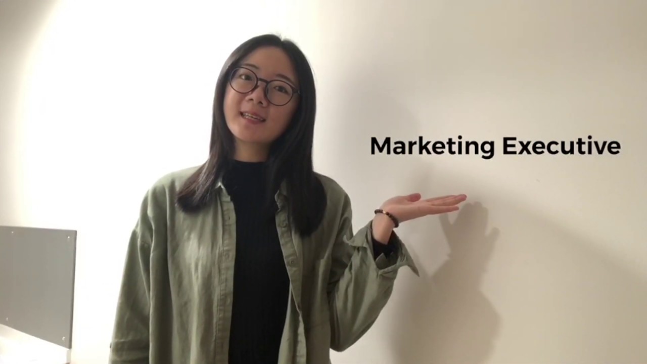 Video CV 2019
