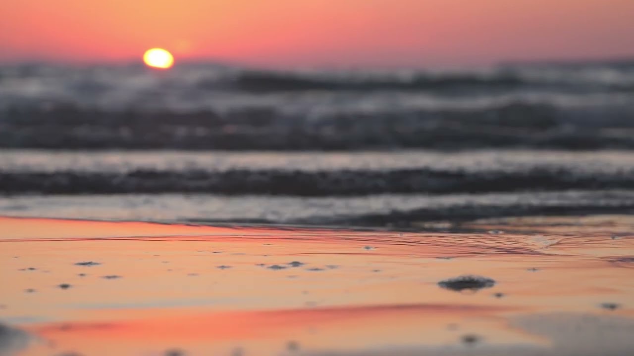 Red sea sunset on sand beach, slow motion | Free stock footage