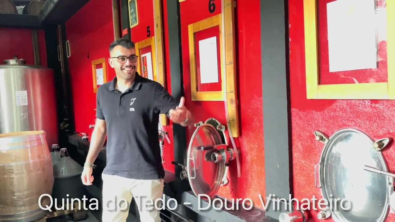 O Rio Douro - Quinta do Tedo