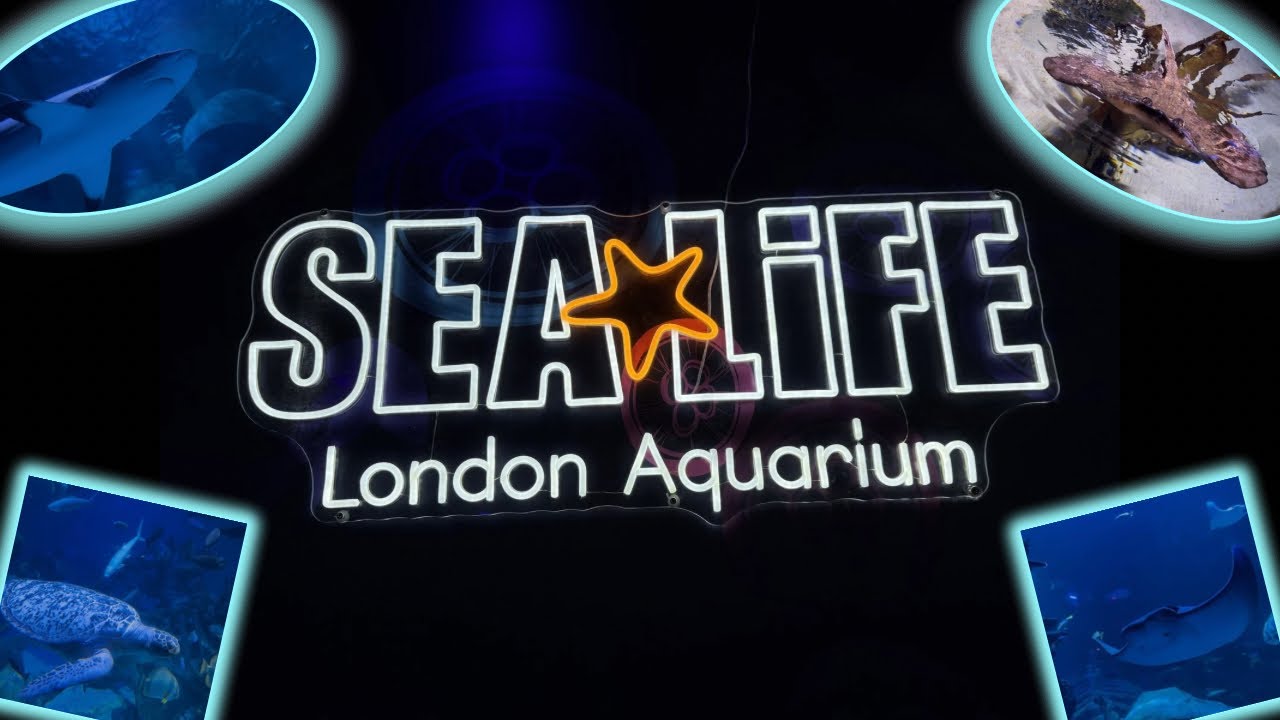 Sealife London Aquarium 