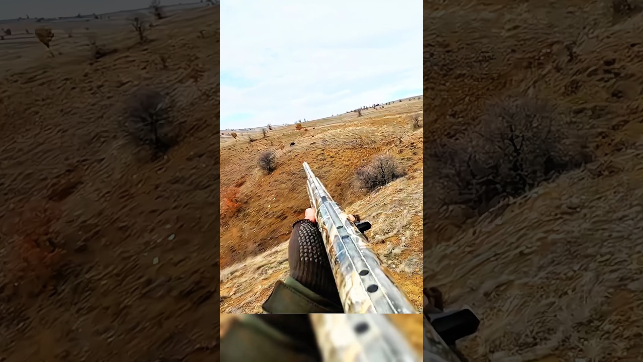 Охота на дикого кабана &ndash; идеальный выстрел на дальнюю дистанцию! 🐗🔥        #hunting #wildboar