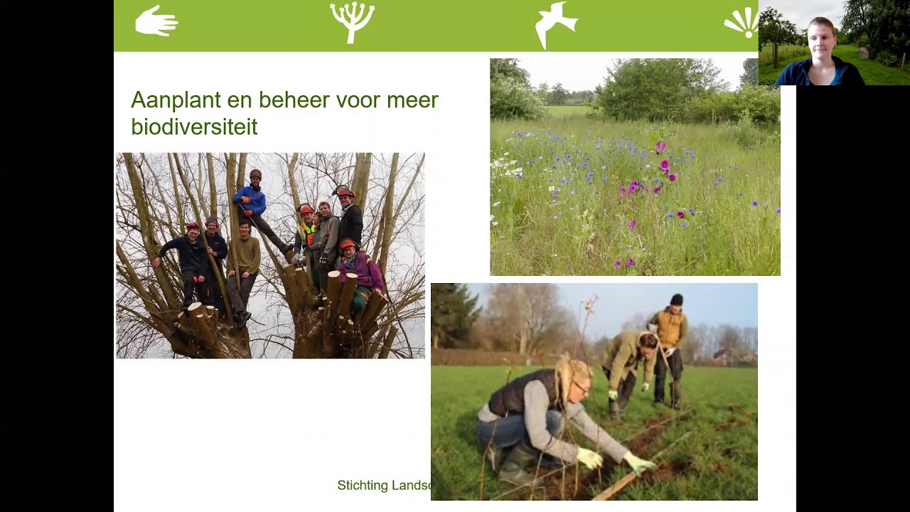 Ontstaan van het landschap van het rivierengebied