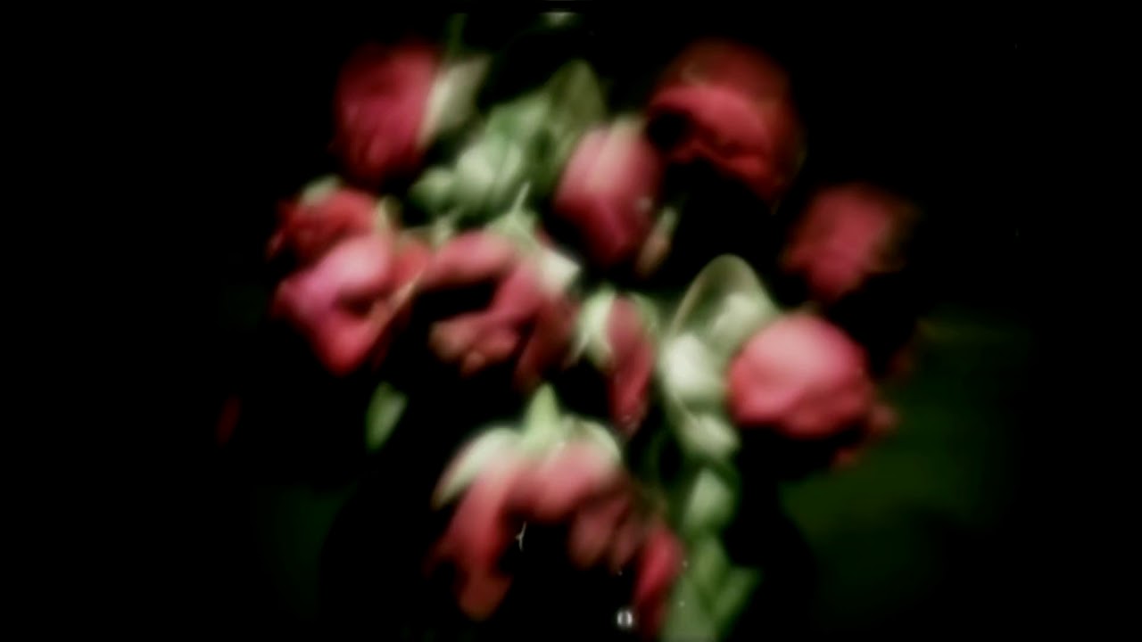blink-182 i miss you **slowed**