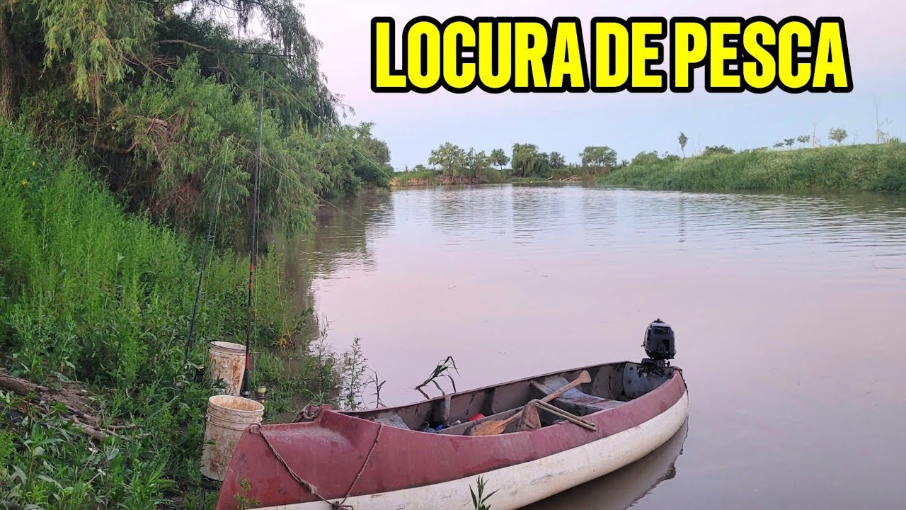 IMPRESIONANTE ! 🔥 