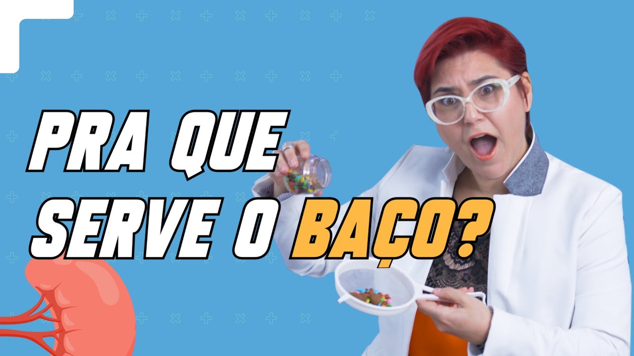 A FUNÇÃO DO BAÇO