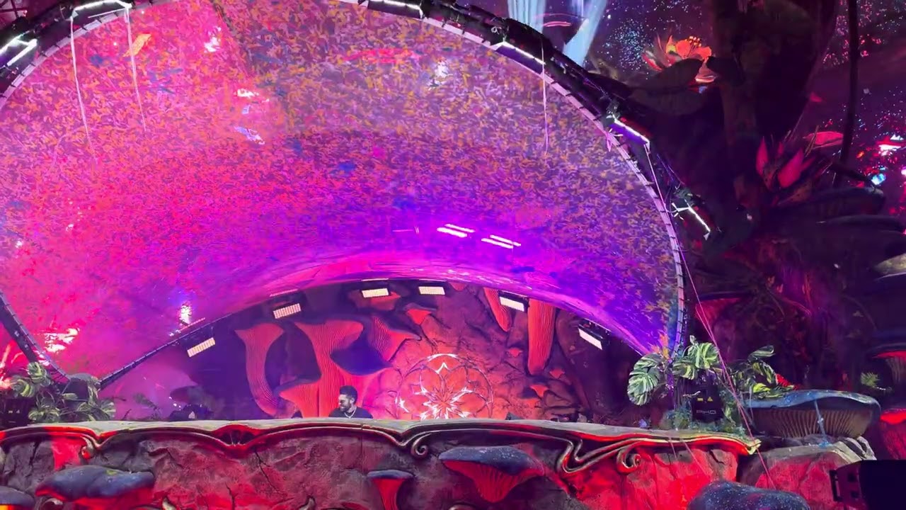 Alok - Allein Allein and To The Moon END SET (Tomorrowland Brazil 2025)