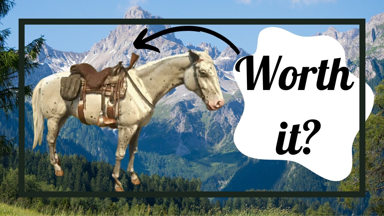 Are the Trapper Saddles Worth it? 🤔 (Yes they are)  [Red Dead Redemption 2]