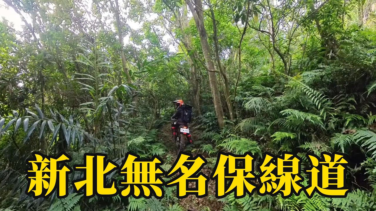 新北無名保線道 #林道探索