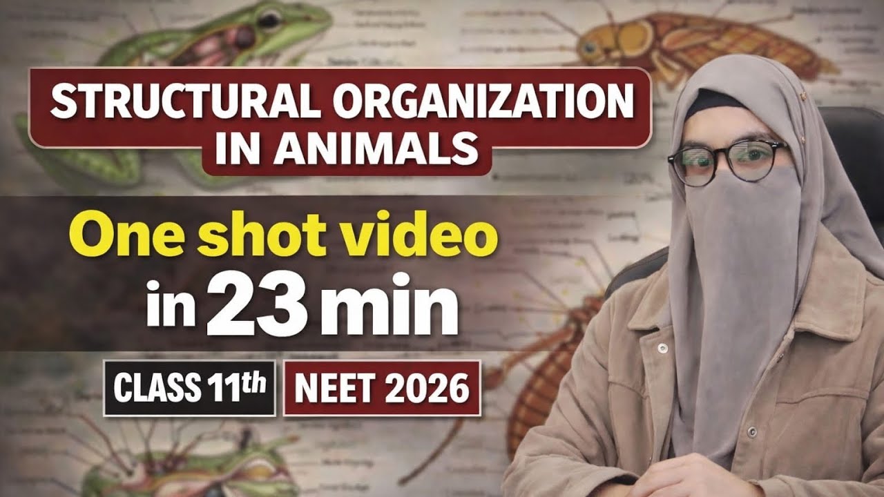 𝗦𝘁𝗿𝘂𝗰𝘁𝘂𝗿𝗮𝗹 𝗢𝗿𝗴𝗮𝗻𝗶𝘀𝗮𝘁𝗶𝗼𝗻 𝗶𝗻 𝗔𝗻𝗶𝗺𝗮𝗹𝘀 𝗢𝗻𝗲 𝗦𝗵𝗼𝘁 🔥 | 𝗖𝗹𝗮𝘀𝘀 11 𝗕𝗶𝗼𝗹𝗼𝗴𝘆 𝗡𝗘𝗘𝗧 𝟮𝟬𝟮𝟲| 𝗡𝗖𝗘𝗥𝗧 𝗕𝗮𝘀𝗲𝗱| 𝗕𝗶𝗼’𝘀 𝗥𝘂𝗯𝘆
