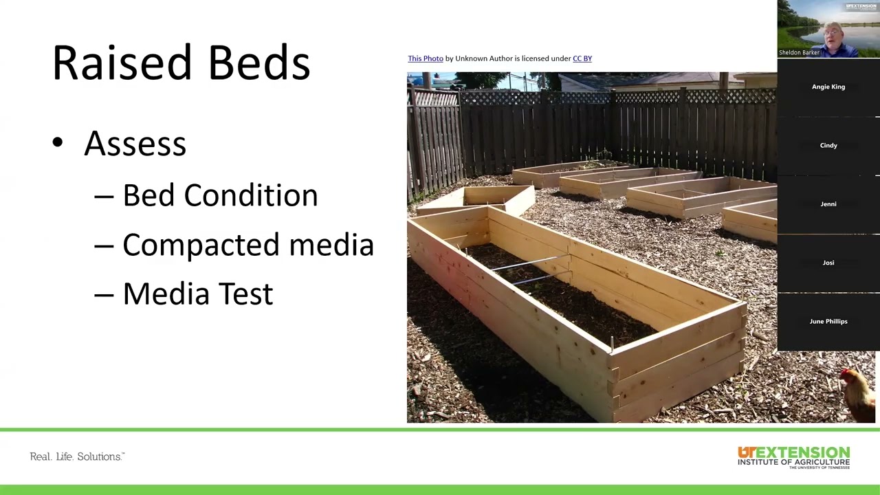 Gardening Plot and Site Preparation