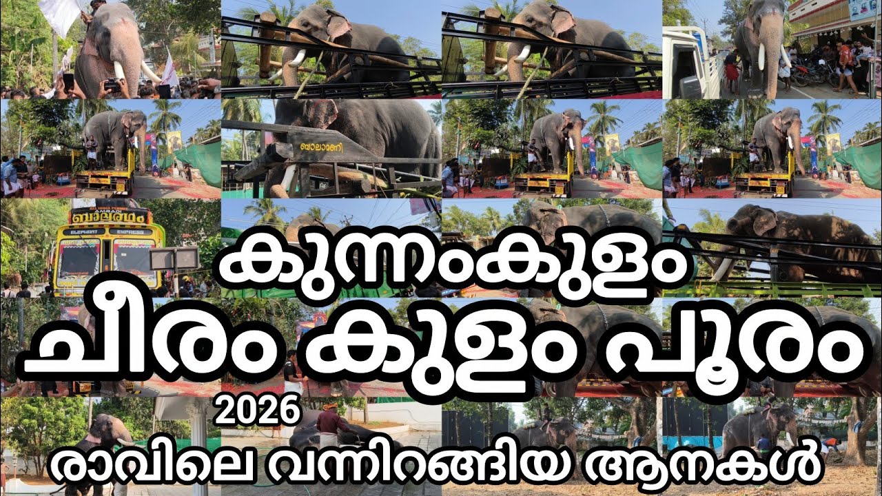 കുന്നംകുളം ചീരുംകുളം2026 പൂരത്തിനുവേണ്ടി രാവിലെ വന്നിറങ്ങിയ ആനകളുടെ കാഴ്ചകളാണ് ഈ വീഡിയോയിൽ#Mrcvlogs