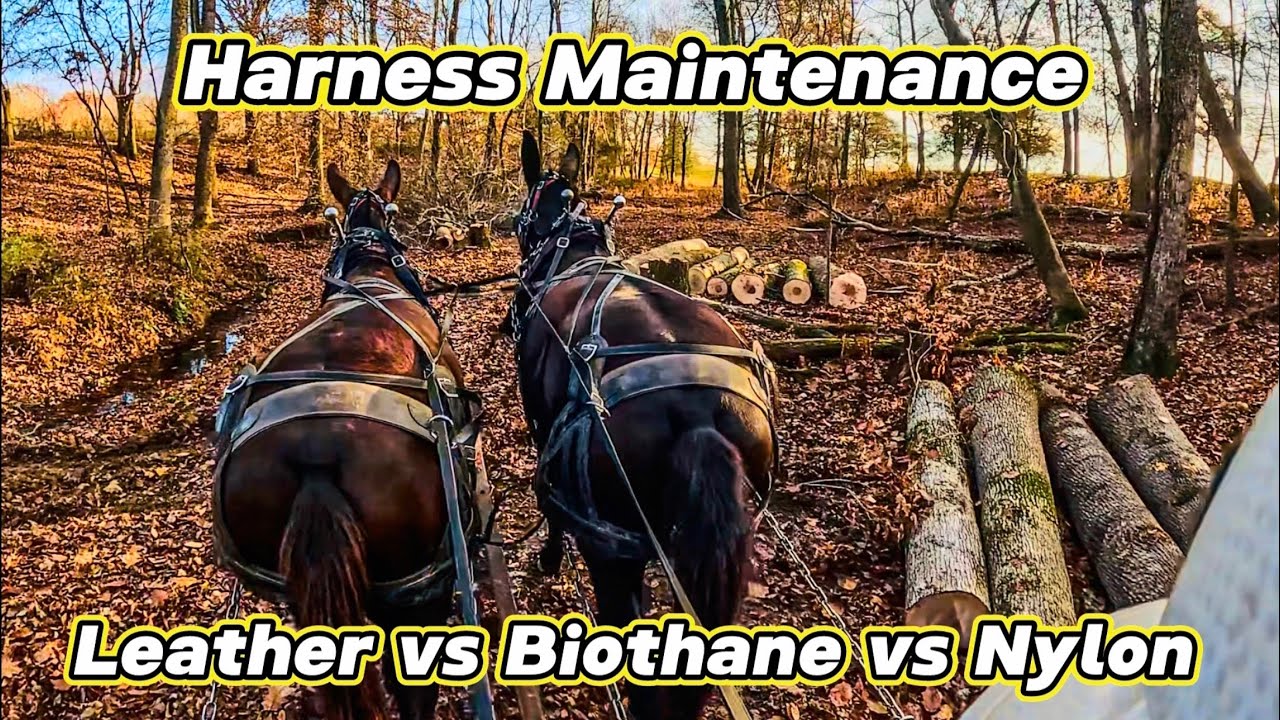 HARNESS MAINTENANCE tips…#301 #horsetack #horse #mules #drafthorses #christianmotivation 