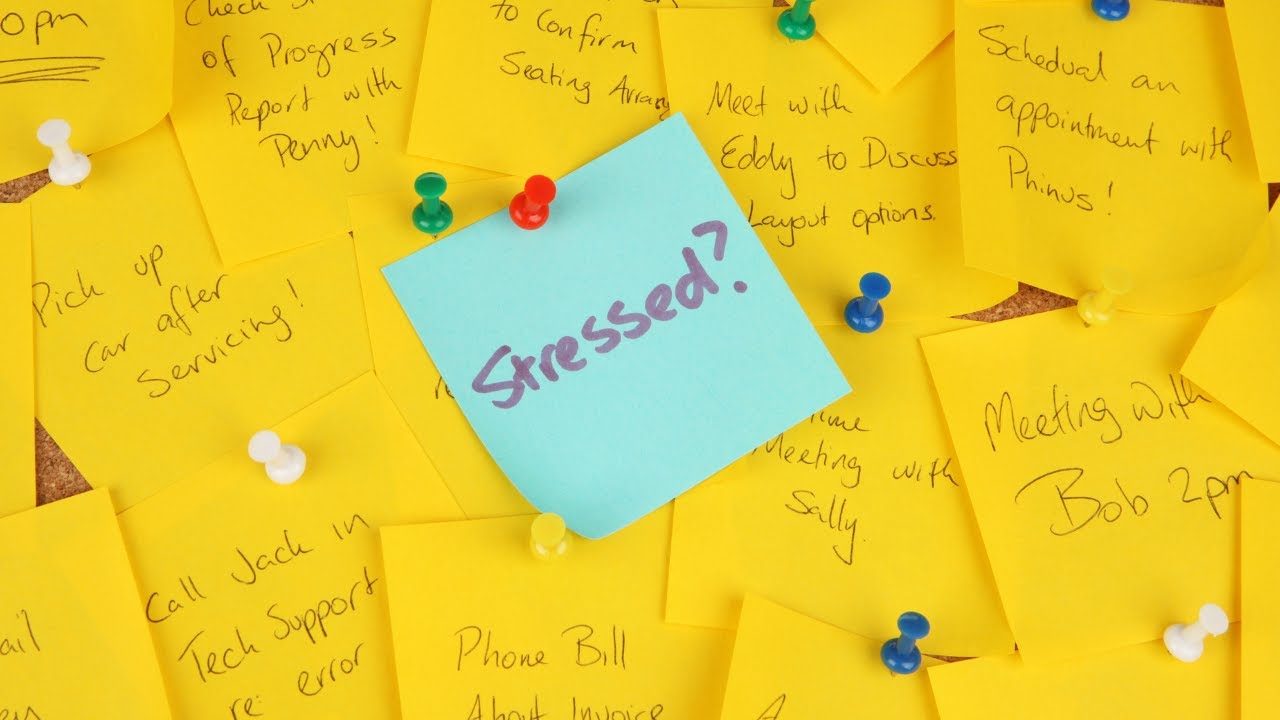 WHY STRESS IS NOT CAUSED BY LIFE