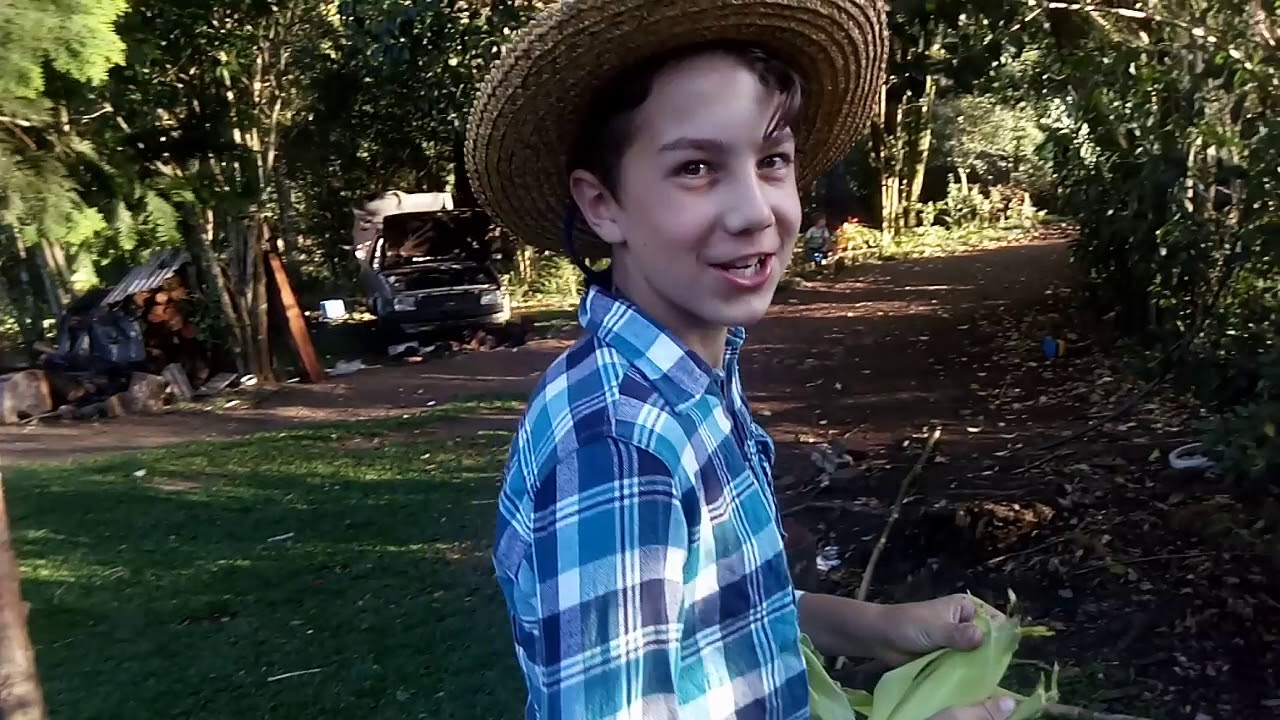 assando milho verde na fogueira.🌽🌽🌽