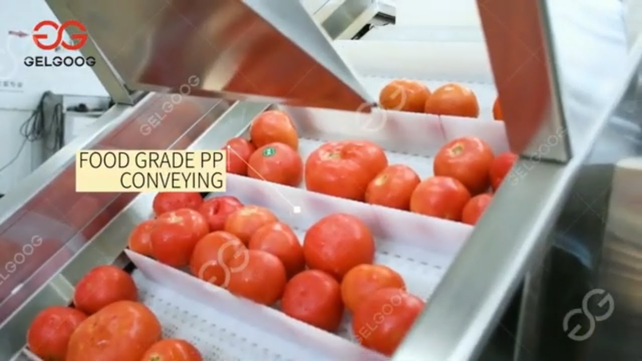 Small Scale Tomato Sauce Production Line From A to Z