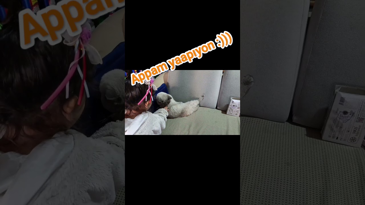 #cat #animals #streetanimal #strayanimals #injuredcat #sokakhayvanlari #yaralikedi #hayvansevgisi