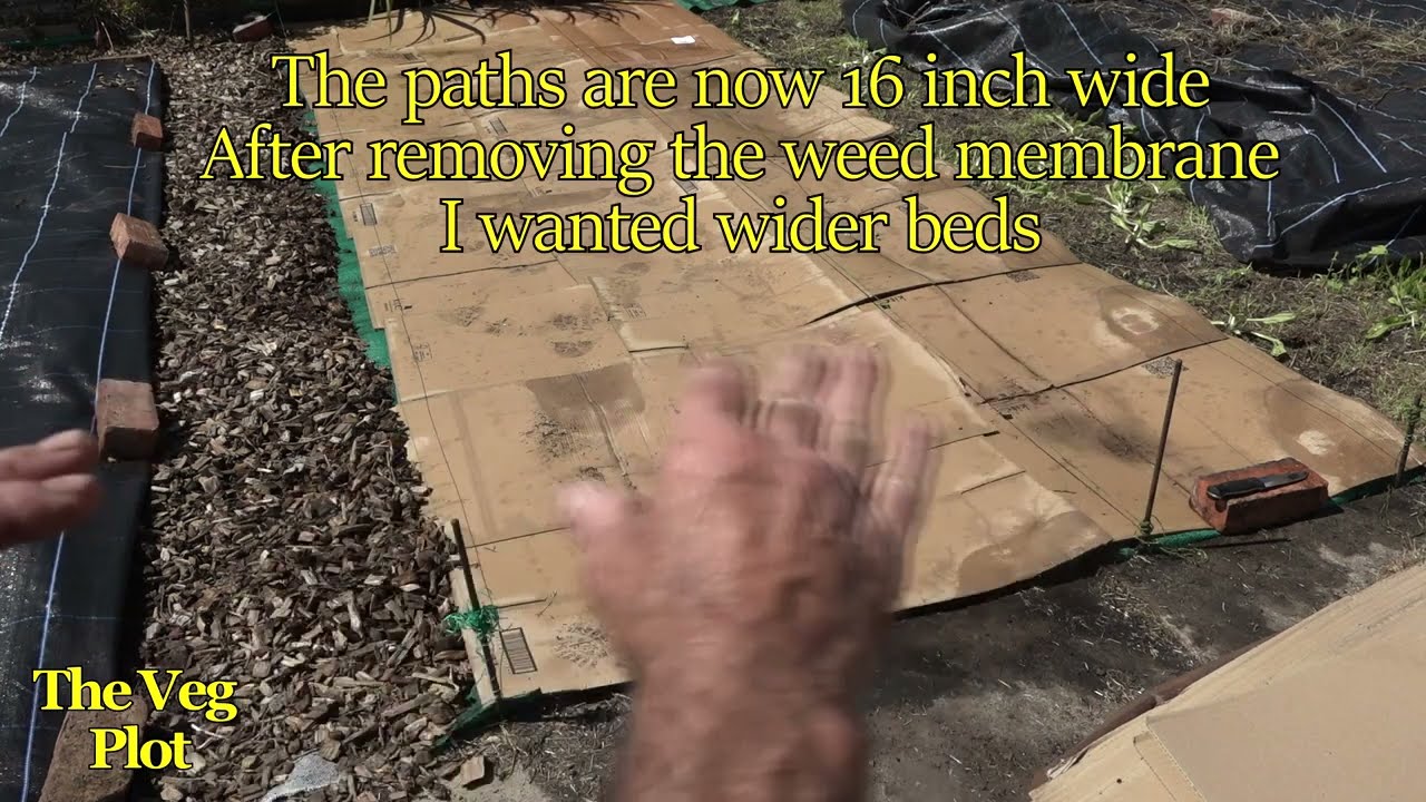 My allotment transformation weeds to veg