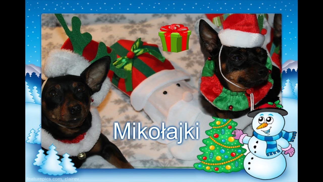 Vlogmas dzień 6 Mikołaj i prezenty 06.12.2017
