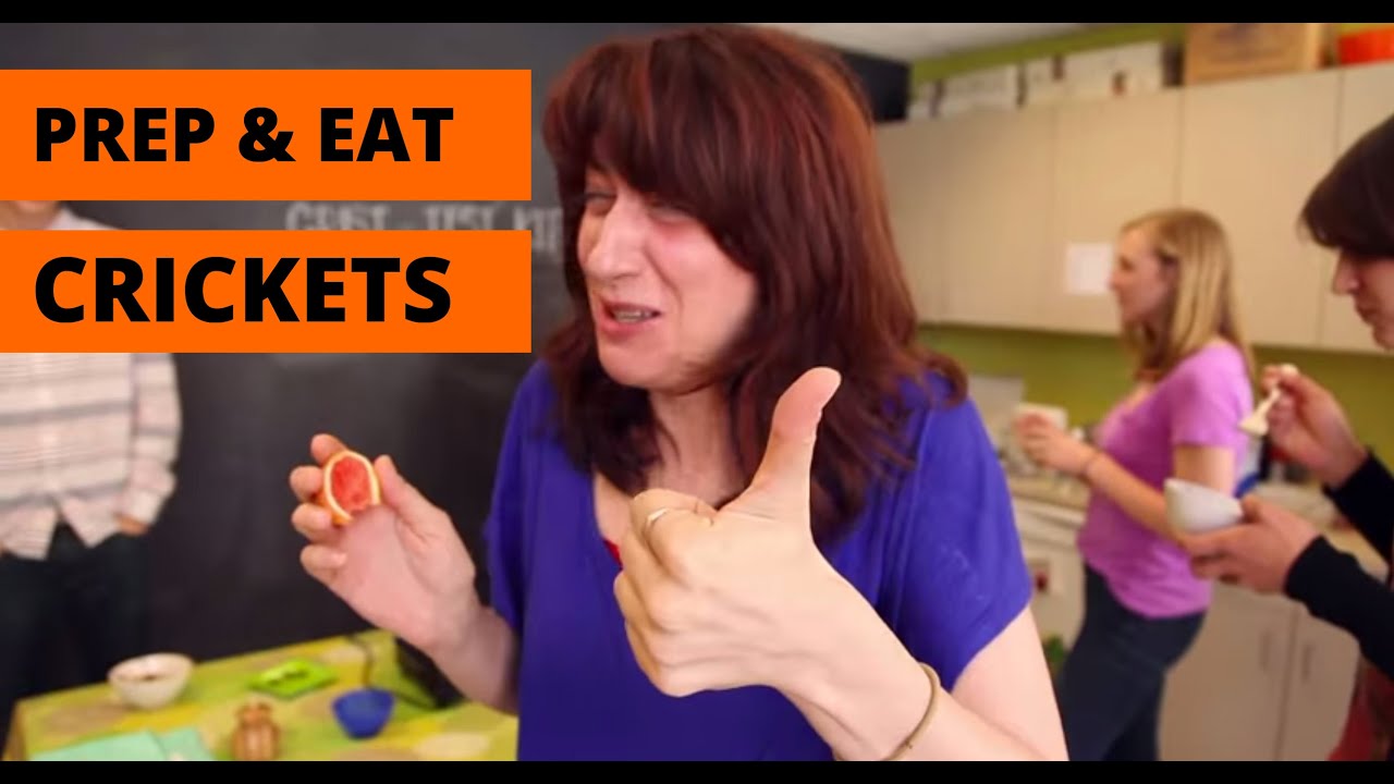 How to prepare and eat crickets | Grist Test Kitchen
