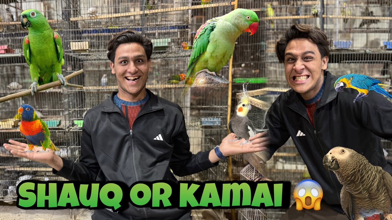 Shauq kai sath bussiness bhi ap|A to Z birds factory|