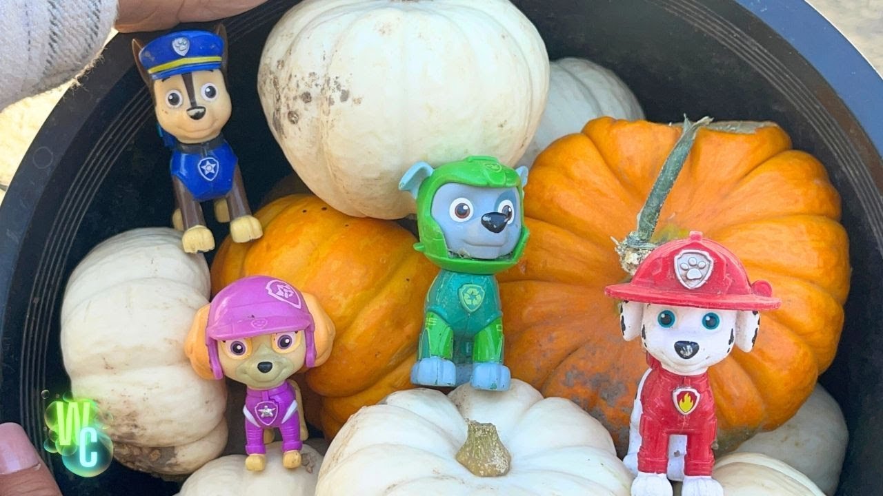 Spooky Surprises! 👻 Halloween COMPILATION for Kids