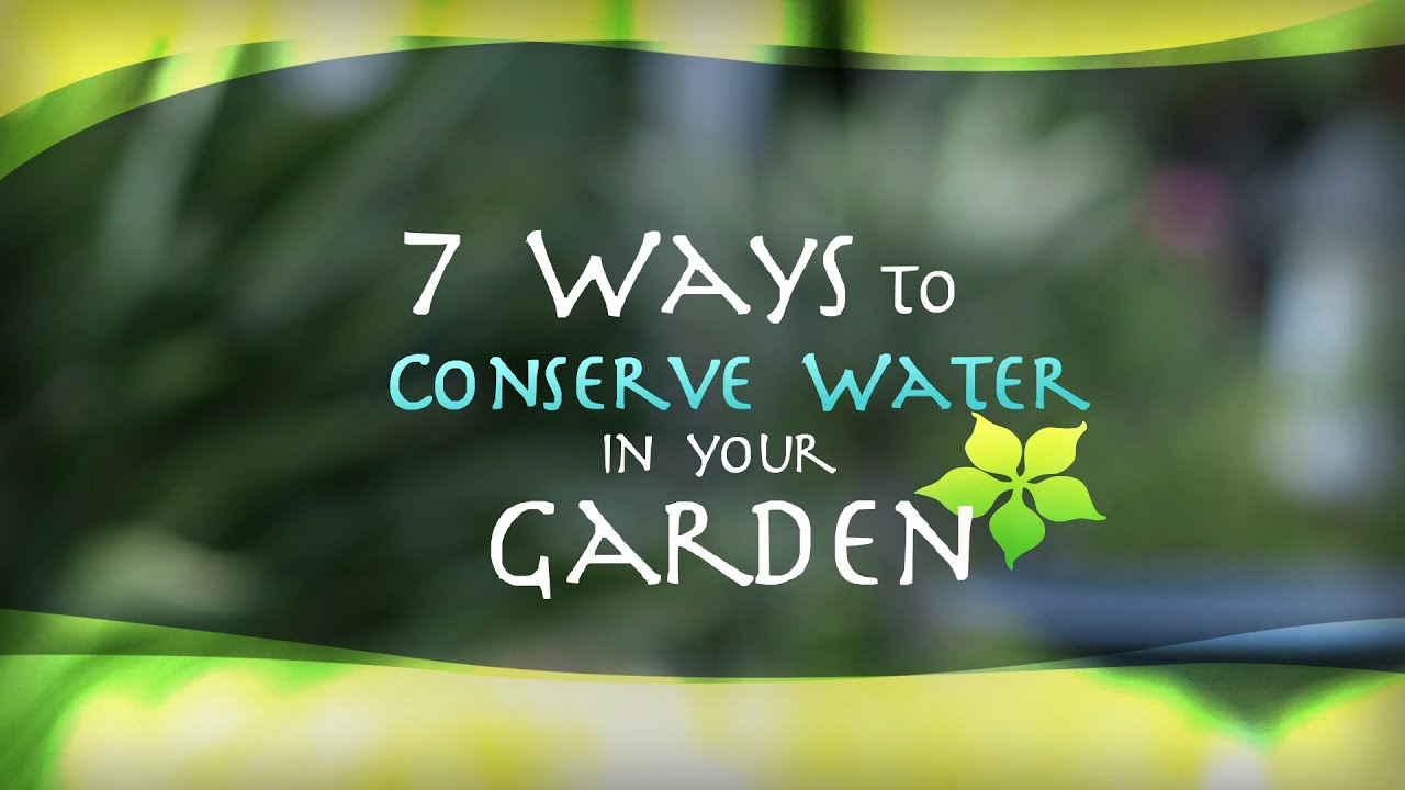 7 Ways To Conserve Water In Your Garden
