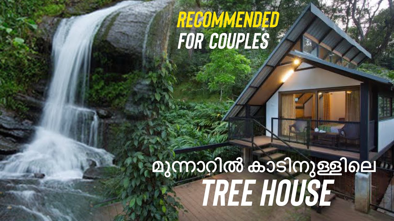 മൂന്നാറിൽ കാടിനുള്ളിൽ ട്രീ ഹൗസിൽ താമസിക്കാം | Bamboo Dale Resort Munnar |