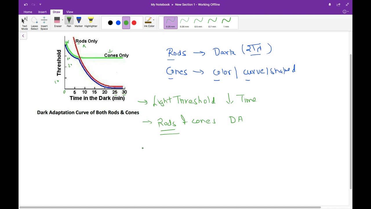 Dark Adaptation Curve