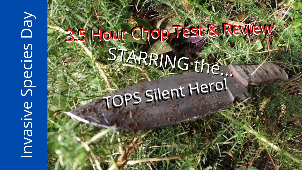 TOPS Silent Hero Tactical Knife vs New Zealand Wild; Invasive Species Day! A Dual Grit Edge Test