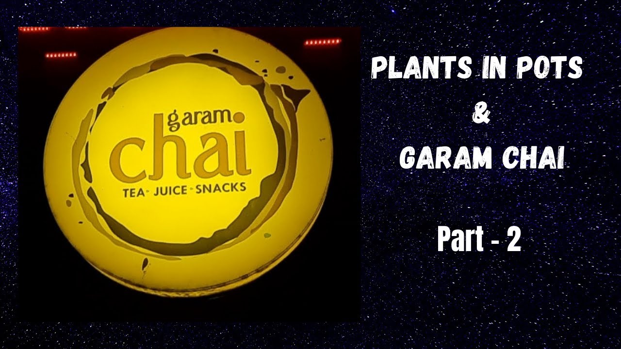 #garamchai #plantsinpots       Plants In Pots & Garam Chai | Part 2