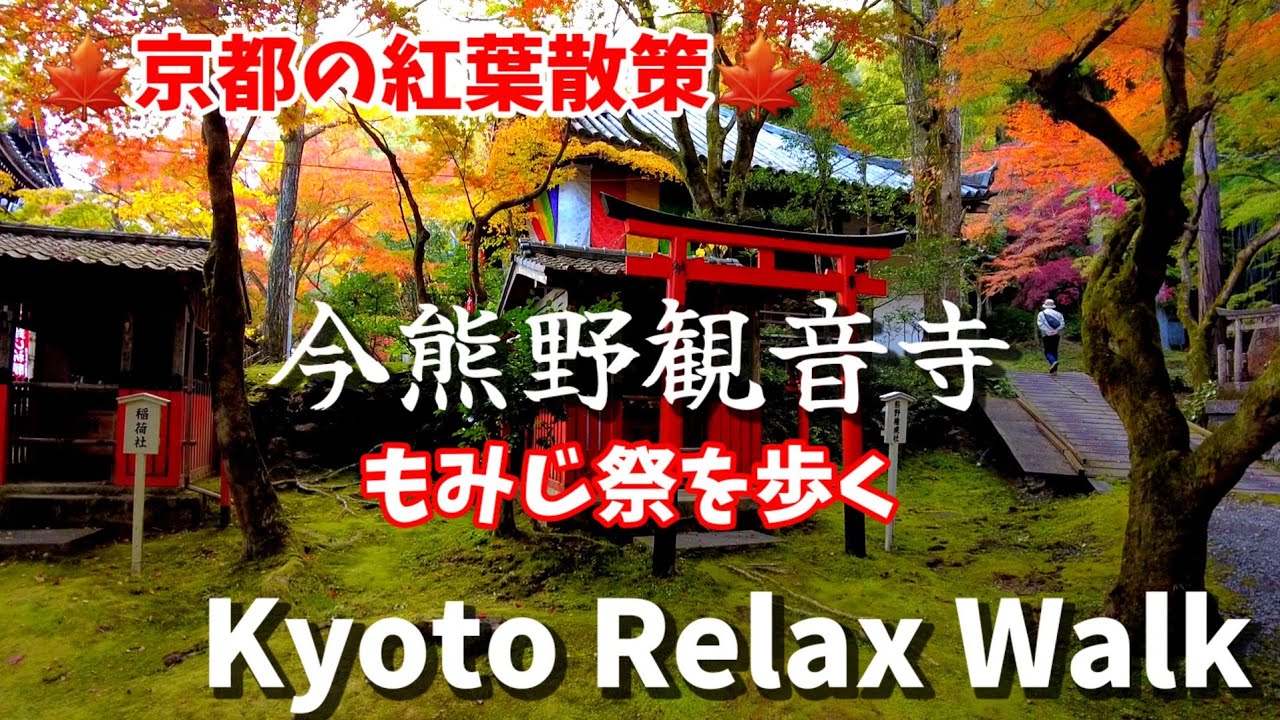 11/15(火)京都紅葉散策🍁東福寺界隈の名所！今熊野観音寺が綺麗です🍁Kyoto Japan Walk!