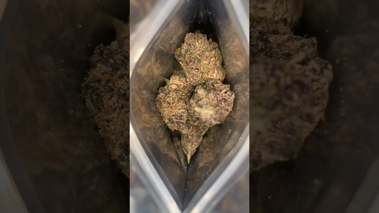 BLUE RAZZ BERRY STRAIN BY BALLA BERRIES! #whatsinyourbag?