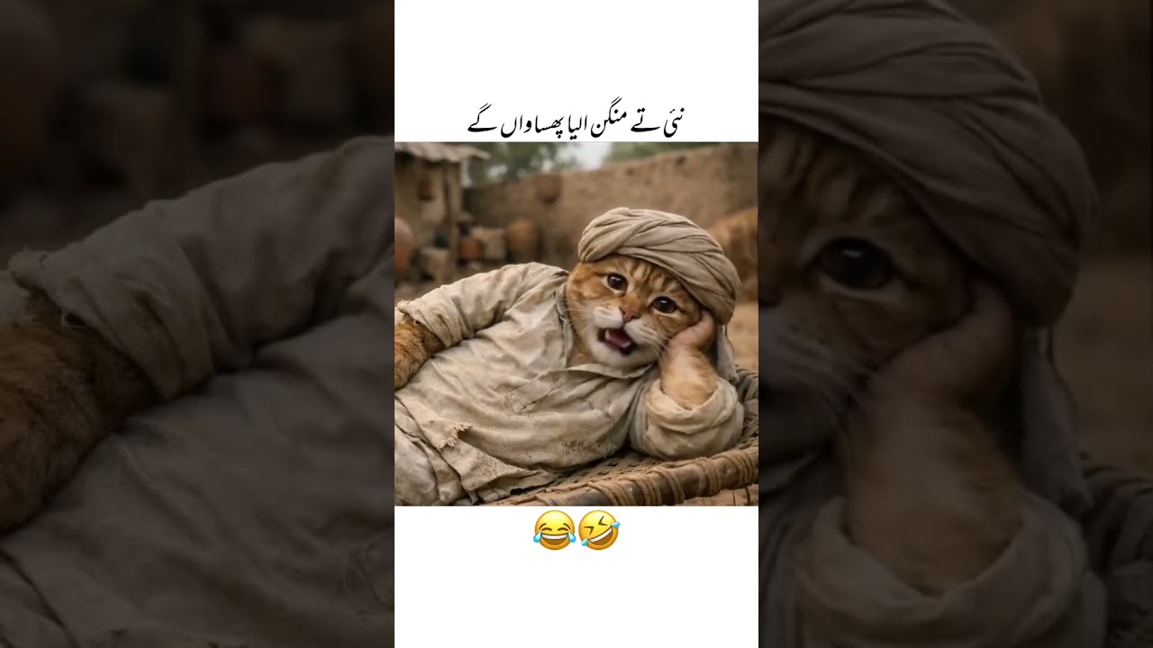 #funny #alahazratkalambyowaisrazaqadri #alahazratkalambyowaisrazaqadri
