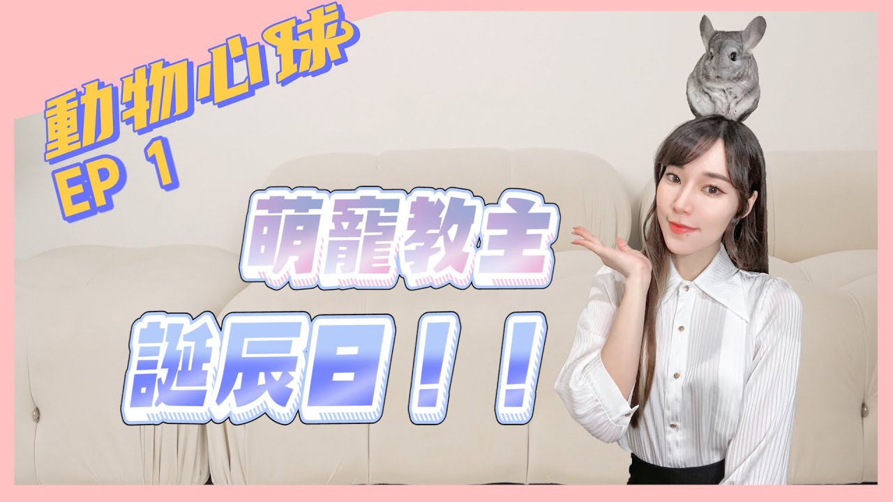 龍貓 | 歡迎來到一個住著龍貓.邊境牧羊犬.柯爾鴨.兔子.天竺鼠.守宮的小星球🌍【心兒】動物心球