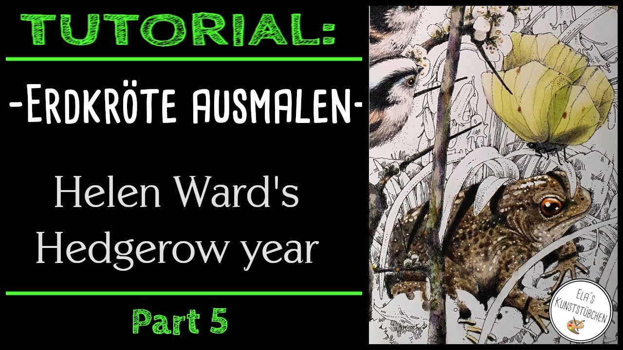 Tutorial: Erdkröte ausmalen (Part 5: Helen Ward´s Hedgerow year ) in Echtzeit!