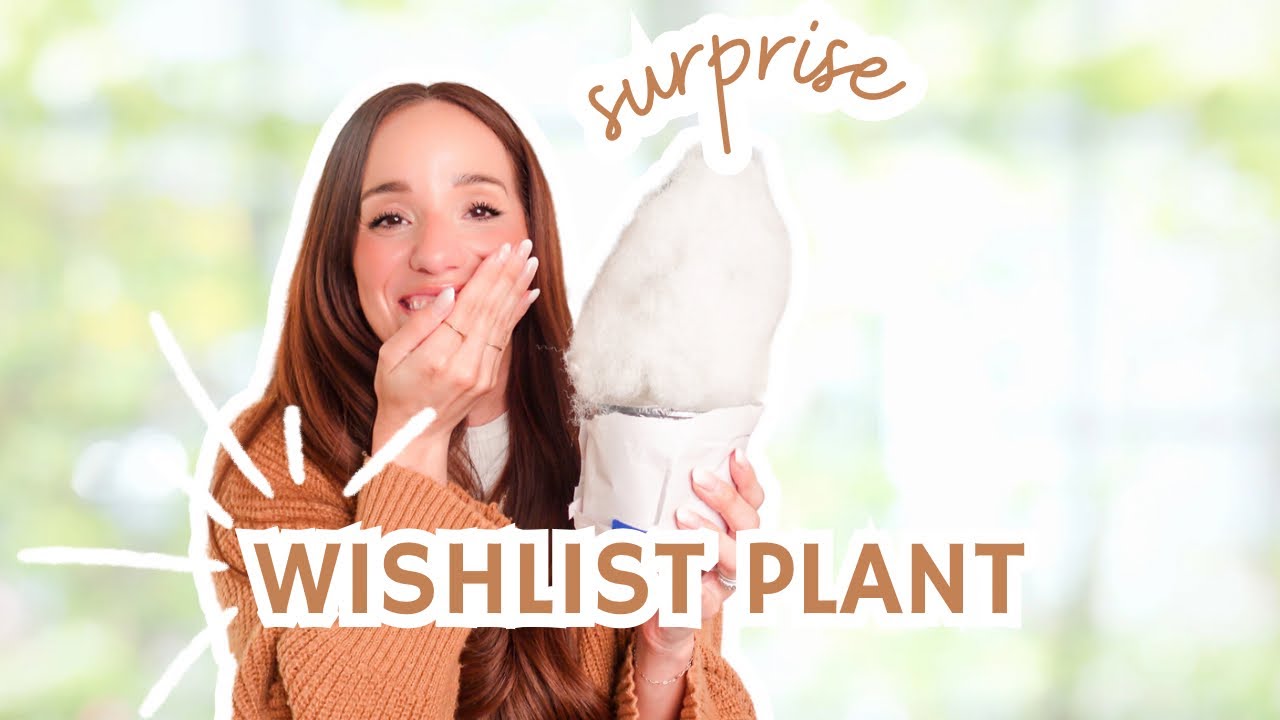 ✨SURPRISE✨wishlist plant unboxing | opening plant mail | 2 new plants🌿