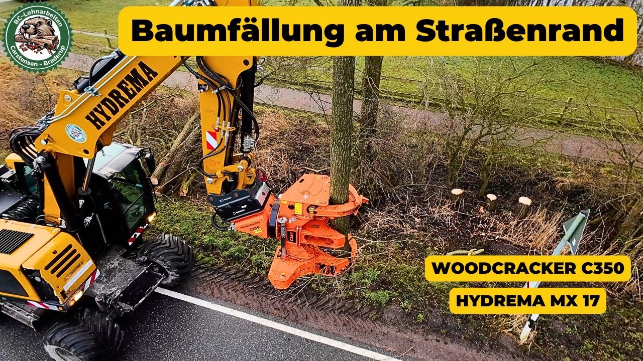 Effiziente Baumarbeiten am Straßenrand! 🌳