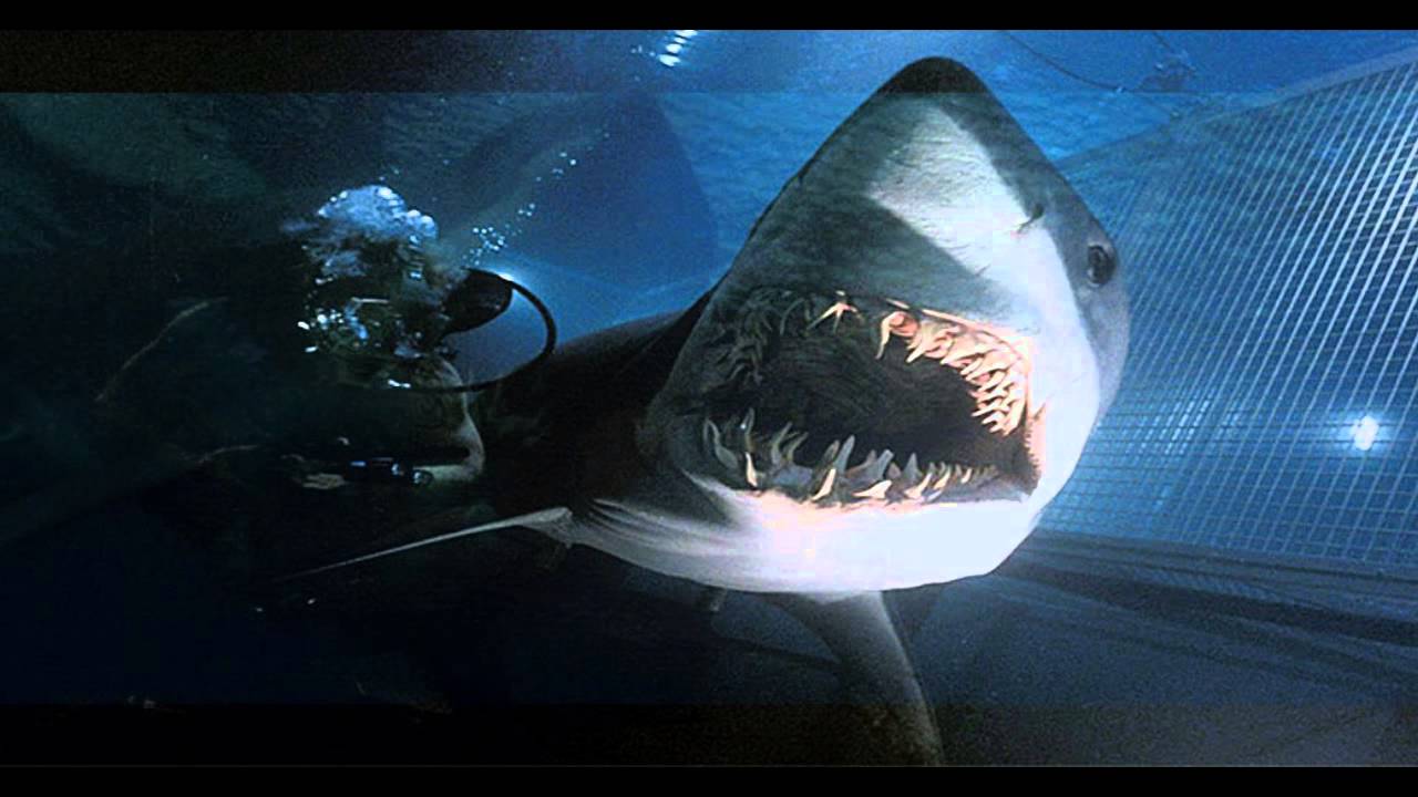 Deep Blue Sea (1999) Theme