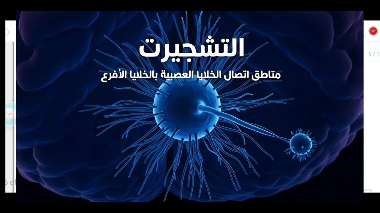 شرح الخلية العصبية بأسلوب مبسط | أحياء الصف الثالث متوسط محاضرة 1 الفصل الاول