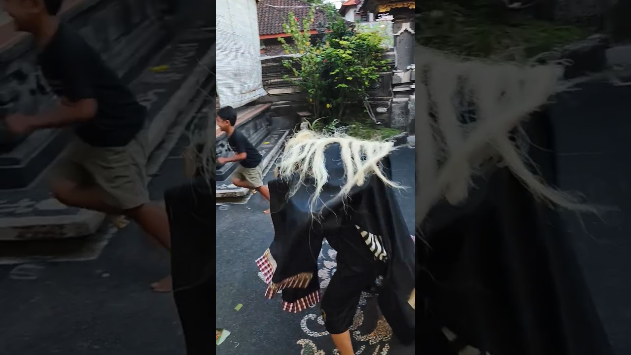 Barong tunggal #barong #barongbangkung