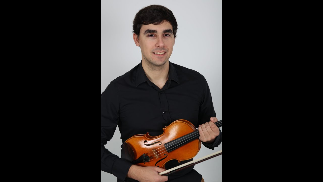 Sting - Englishman In New York - Violin Cover
