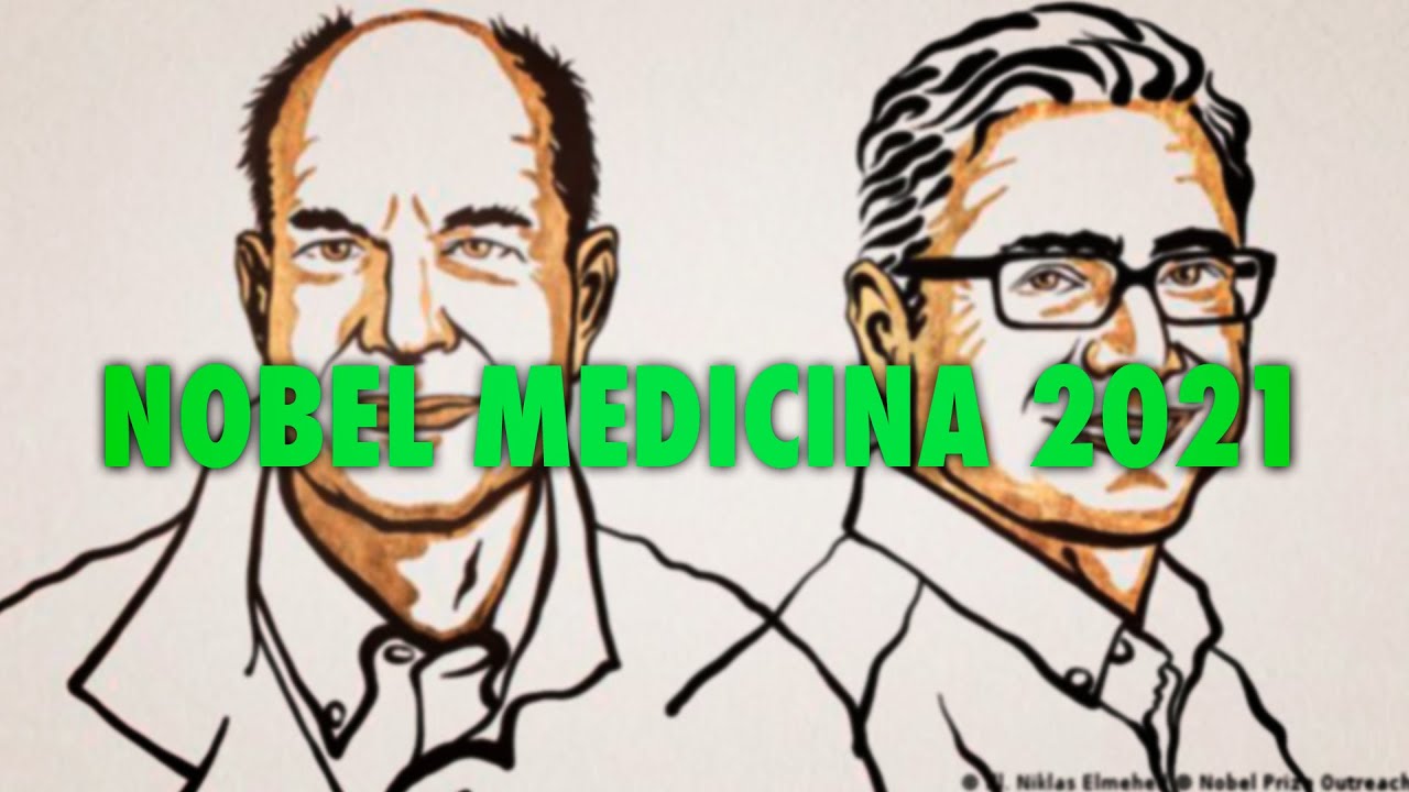 🥇TODO LO QUE NECESITAS SABER SOBRE EL PREMIO NOBEL DE MEDICINA 2021