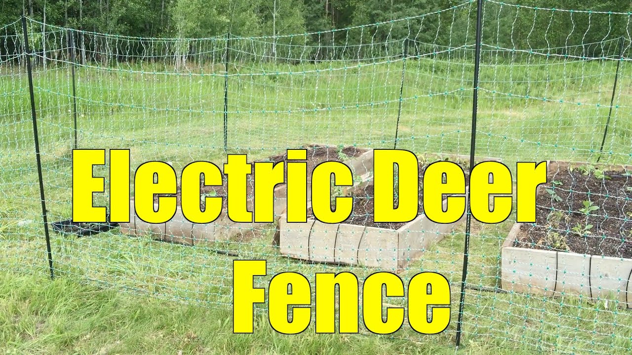 Deer Fence Installed! But Where's the Mulch?